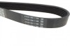 Пас поліклиновий VW Caddy 1.9D/SDI -03 (WP,TP) DAYCO 6PK1035 (фото 2)