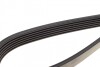Пас поліклиновий VW Caddy 1.9D/SDI -03 (WP,TP) DAYCO 6PK1035 (фото 4)