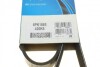 Пас поліклиновий BMW M3 (E90/E93) 07-13/ Peugeot 3 DAYCO 6PK1065 (фото 6)