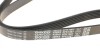 Ремінь генератора VW Golf/Jetta/Passat/Tiguan 1.4/1.6 TSI/FSI 03- DAYCO 6PK1087 (фото 2)