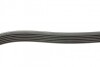 Пас поліклиновий Citroen Jumper 1.9TD 94-02 (ALT,P DAYCO 6PK1130 (фото 3)