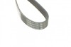 Пас поліклиновий Citroen Jumper 1.9TD 94-02 (ALT,P DAYCO 6PK1130 (фото 4)
