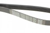 Пас поліклиновий Citroen Jumper 1.9TD 94-02 (ALT,P DAYCO 6PK1130 (фото 5)