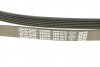Пас поліклиновий VW Crafter 2.0TDI 06- DAYCO 6PK1613 (фото 4)