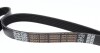 Ремень поликлиновой DAYCO 6PK1660HD (фото 2)