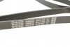 Ремень поликлиновой DAYCO 6PK2155S (фото 3)