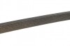 Ремень поликлиновой DAYCO 6PK2155S (фото 4)