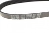 Ремень поликлиновой DAYCO 6PK730 (фото 3)