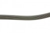 Пас поліклиновий VW Golf III/IV/Bora/Octavia 1.9TD DAYCO 6PK906 (фото 2)