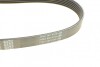 Пас поліклиновий VW Golf III/IV/Bora/Octavia 1.9TD DAYCO 6PK906 (фото 3)