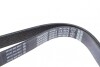 Ремень поликлиновой DAYCO 7PK1557S (фото 2)