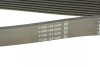 Ремень поликлиновой DAYCO 8PK1460HD (фото 3)