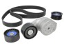 DAYCO KPV030HD