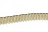 Комплект ГРМ DAYCO KTB482 (фото 2)