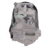 Компресор кондиціонера MERCEDES-BENZ C-CLASS (W203) 02-07, C-CLASS T-Model (S203) 02-07, C-CLASS купе DENSO DCP17038 (фото 4)
