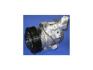 Компресор кондиціонера новий TOYOTA RAV4 00-05 DCP50033