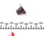 Ущільнююче кільце ELRING 574.330 (фото 3)