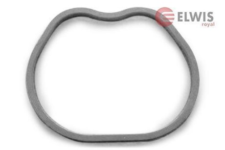 Фото 1 - прокладка впускного колектора Elwis Royal 0255595 Прокладка впускного колектора Elwis Royal 0255595 (фото 1)