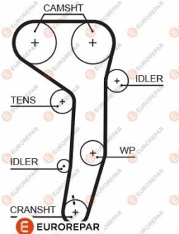 Фото 1 - ремінь зубчастий Z=141 AUDI 2,0TDI: A3/4/6 03- VW 2,0TDI: Golf V, Passat, Touran SKODA SEAT EUROREPAR 1633129680 Ремінь зубчастий Z=141 AUDI 2,0TDI: A3/4/6 03- VW 2,0TDI: Golf V, Passat, Touran SKODA SEAT EUROREPAR 1633129680 (фото 1)