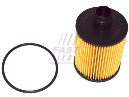 Фільтр масляний FIAT DOBLO 09-н.в., OPEL COMBO 11-18, SUZUKI SX-4 06-14 FAST FT38077 (фото 1)