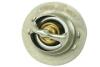Термостат Renault Kangoo (97-), Megane II, Logan I, Duster (10-18), Trafic II 1. FT58009