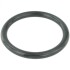 Уплотнительное кольцо RINGAH-009