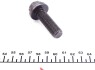 Болт шкива коленвала VAG (Febi) FEBI BILSTEIN 09590 (фото 4)