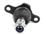 Опора шаровая VW T4 передн. ось, нижн. (Febi) FEBI BILSTEIN 10578 (фото 2)