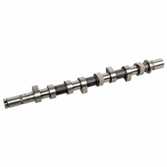 FEBI RENAULT Распредвал Sandero,Logan,Duster,Kangoo 1.5dCi FEBI BILSTEIN 176351 (фото 1)