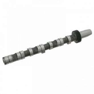 FEBI VW вал розподільчий Audi A4/6/8,Passat,Skoda SuperB I 2.5TDI FEBI BILSTEIN 26976 (фото 1)