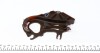 Комплект ланцюга для масляного насоса BMW N40/N42/N45/N46 (Febi) FEBI BILSTEIN 47978 (фото 9)