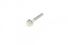 Комплект болтов FEBI BILSTEIN 48903 (фото 14)