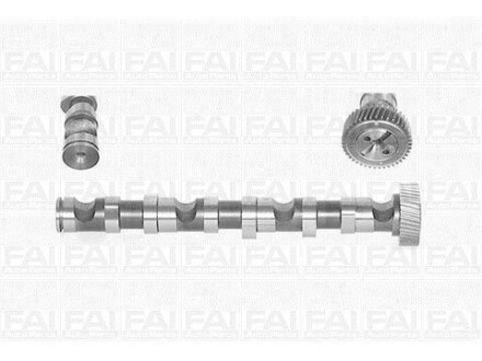 FAI VW Распредвал Audi A4/6/8,Passat,Skoda SuperB I 2.5TDI Fischer Automotive One (FA1) C246