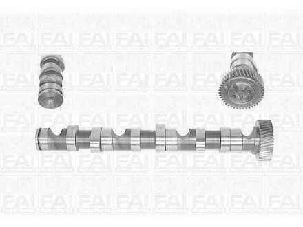 FAI VW Распредвал Audi A4/6/8,Passat,Skoda SuperB I 2.5TDI Fischer Automotive One (FA1) C247