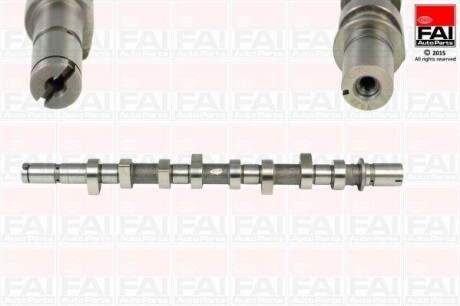 1 Fischer Automotive One (FA1) C253