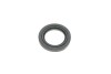 РМК тормозного суппорта FIAT FIORINO 88-01, FIAT PANDA 86-03 FRENKIT 248003 (фото 6)