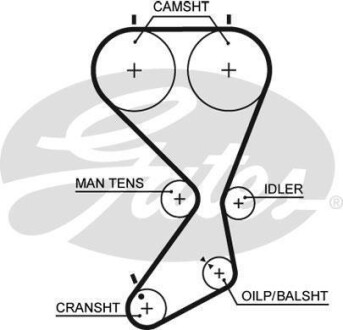 Ремінь ГРМ Gates 5556 XS