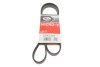 Поликлиновые ремни Micro-V  (Пр-во Gates) 5PK1297