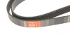 Поліклинові ремені Micro-V Gates 6PK1520 (фото 4)