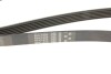 Поліклинові ремені Micro-V Gates 6PK1520 (фото 5)