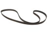 Ремкомплекты привода ГРМ автомобилей PowerGrip Kit Gates K015384XS (фото 4)