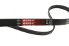 Ремкомплекты привода вспомогательного оборудования автомобилей Micro-V Kit Gates K074PK890 (фото 12)