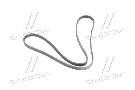 Фото 1 - ремінь приводний поликлиновой DAEWOO/ MALIBU, CAMARO, COLORADO GM / OPEL 12664598 Ремінь приводний поликлиновой DAEWOO/ MALIBU, CAMARO, COLORADO GM / OPEL 12664598 (фото 1)