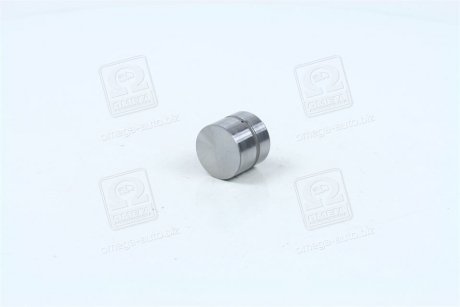 Гідрокомпенсатор (Mobis) Hyundai / Kia / Mobis 2223137100