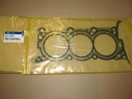 Прокладка головки блока циліндрів Hyundai / Kia / Mobis 223113CAD0 (фото 1)