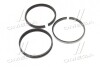 Кільця поршневі (Mobis) Hyundai / Kia / Mobis 230403E102 (фото 3)
