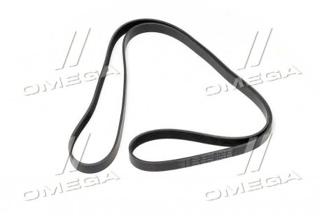 Ремінь поліклиновий Hyundai Tucson/Kia Sportage 04- (Mobis) Hyundai / Kia / Mobis 2521237182 (фото 1)