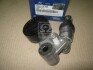 Натяжитель ремня генератора Mobis Hyundai / Kia / Mobis 25281-3C100 (фото 2)