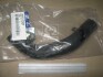 Патрубок радиатора верхний Hyundai Ix35/tucson 09-/Kia Sportage 10- (Mobis) Hyundai / Kia / Mobis 254112S000 (фото 2)