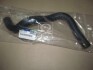 Патрубок радиатора нижний Hyundai Tucson/Kia Sportage 04- (Mobis) Hyundai / Kia / Mobis 254122E100 (фото 2)